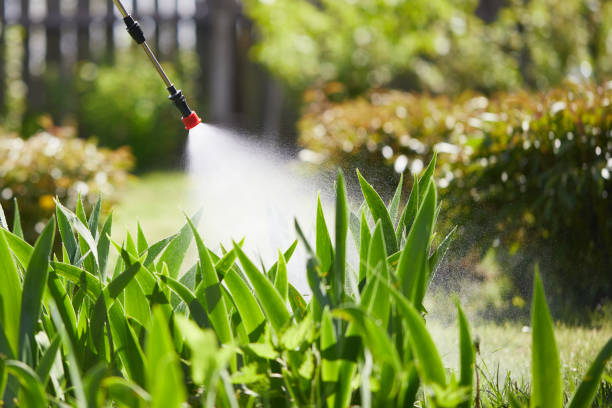 24/7 Emergency Termite Control experts in Owasso, OK