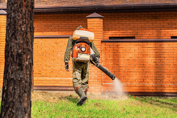 Top rated local Termite Control specialists in Owasso, OK